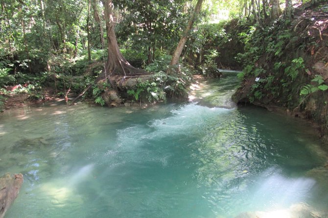 Benta River Falls and Rick's Cafe Day Adventure Tour - Why This Tour Is a Great Choice
