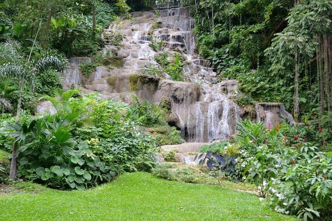 Konoko Falls and Park Private Tour with Hotel Pickup - Who Will Love This Tour?
