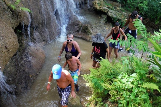 Konoko Falls and Park Private Tour with Hotel Pickup - In-Depth Review of the Konoko Falls and Park Private Tour