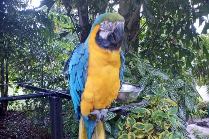 Konoko Falls and Park Private Tour with Hotel Pickup - Final Words