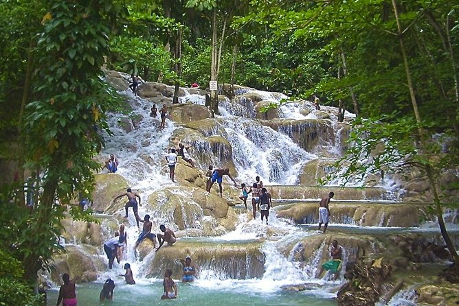Dunns River Falls plus River Tubing Adventure on the Rio Bueno Private Tour - An Authentic Jamaican Adventure: A Detailed Look at the Tour