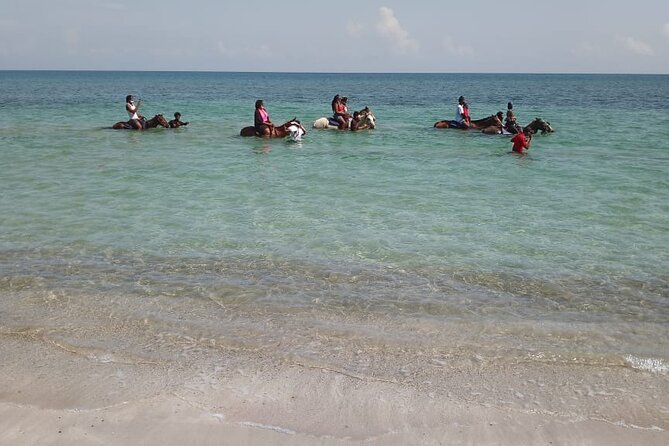 Private & Customize Tour to Martha Brae Rafting and Horseback Riding N Swim - Frequently Asked Questions