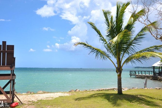 Horseback Riding/Zipline Combo Tour at Chukka Ocean Outpost with Transportation - What Makes This Tour Stand Out?