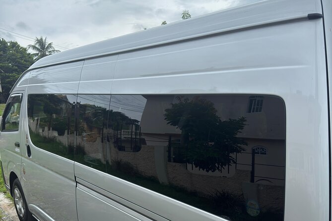 Montego Bay Airport and Riu Reggae Private Shuttle - A Closer Look at the Transfer Experience