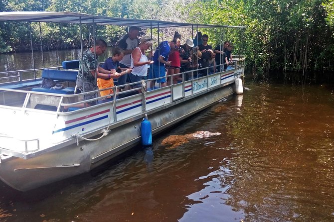 Black River Safari * YS Falls * Appleton Rum Tour - Transportation, Timing, and Overall Value