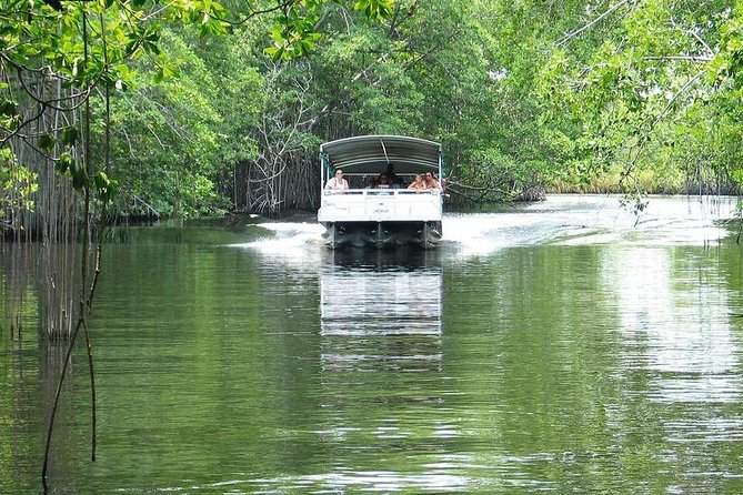 Black River Safari * YS Falls * Appleton Rum Tour - Who Should Consider This Tour?