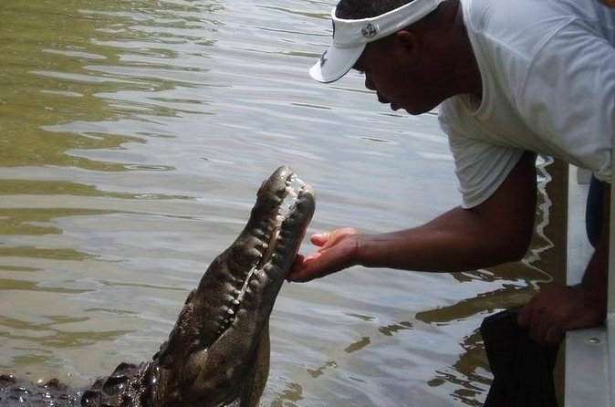 Black River Safari * YS Falls * Appleton Rum Tour - The Sum Up