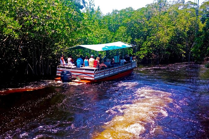 Black River Safari * YS Falls * Appleton Rum Tour - An Authentic Day of Nature and Rum in Jamaica