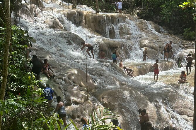 Horseback ride Dunns River and Blue hole with transport included - Detailed Breakdown of the Itinerary