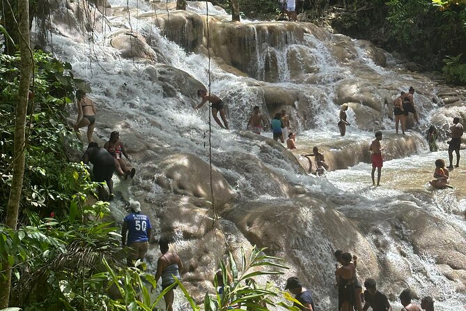 Horseback ride Dunns River and Blue hole with transport included - The Sum Up