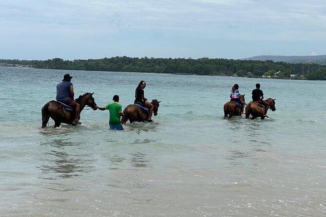 Horseback ride Dunns River and Blue hole with transport included - Who Should Consider This Tour?