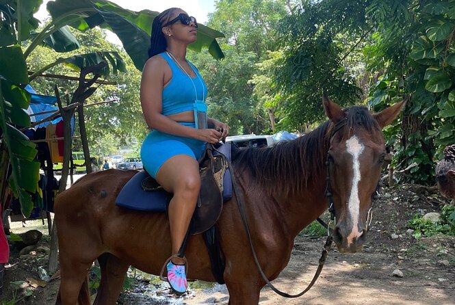 Dunns River & Horse Back Riding Activity from Montego Bay - Analyzing the Value: Is This Tour Worth It?