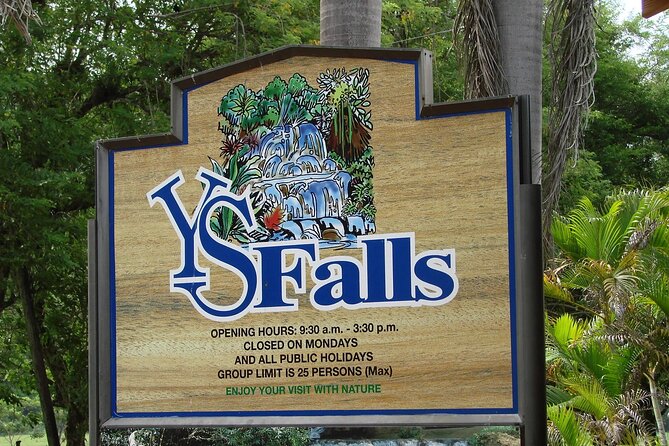 Private Tour from Montego Bay to Appleton Estate and YS Falls - In-Depth Review: What You Can Expect