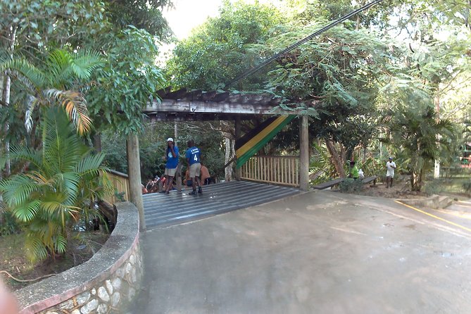 Dunns River Falls Park and Beach - Who Will Love This Tour?
