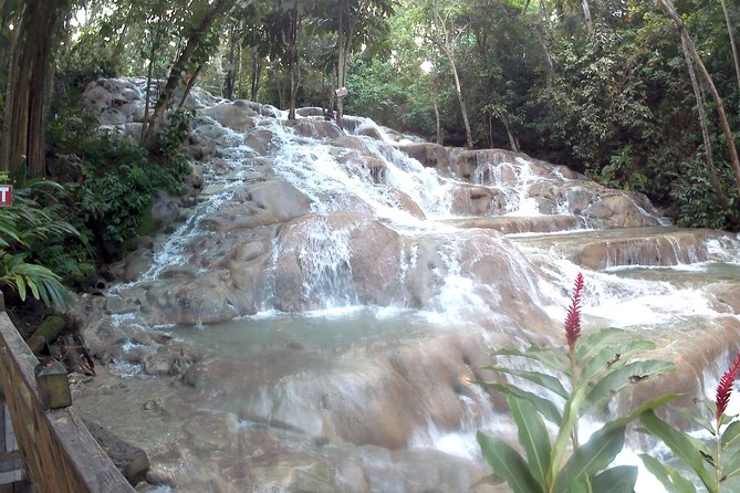 Dunns River Falls Park and Beach - Exploring Dunns River Falls and Park