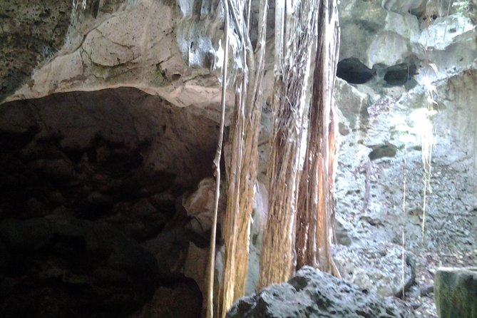 Green grotto cave tour - Who Should Consider This Tour?