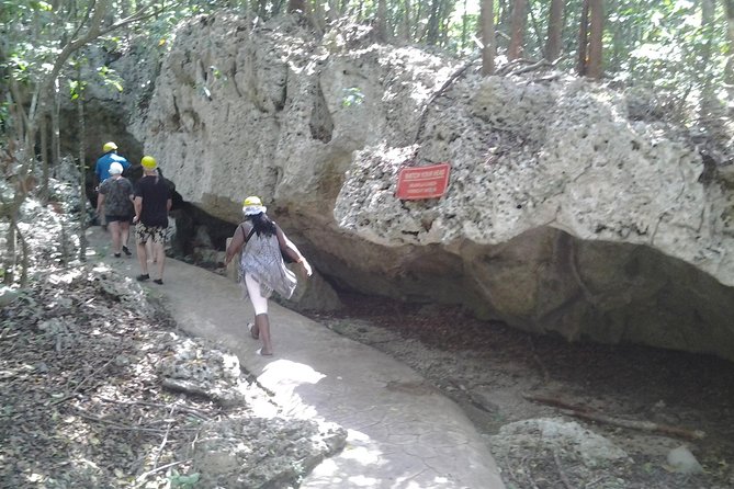 Green grotto cave tour - Exploring the Green Grotto Caves: An In-Depth Review