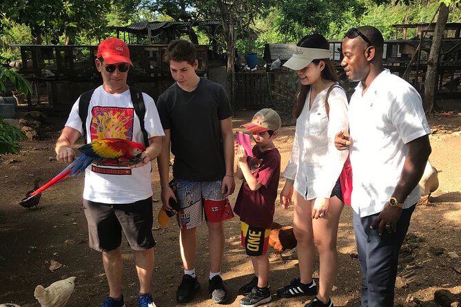 Explore Montego Bay to Exotic Birds and Herb Farm from MontegoBay - An In-Depth Look at the Montego Bay Exotic Bird and Herb Farm Tour