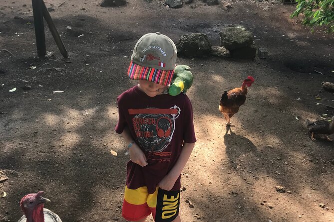 Explore Montego Bay to Exotic Birds and Herb Farm from MontegoBay - Frequently Asked Questions