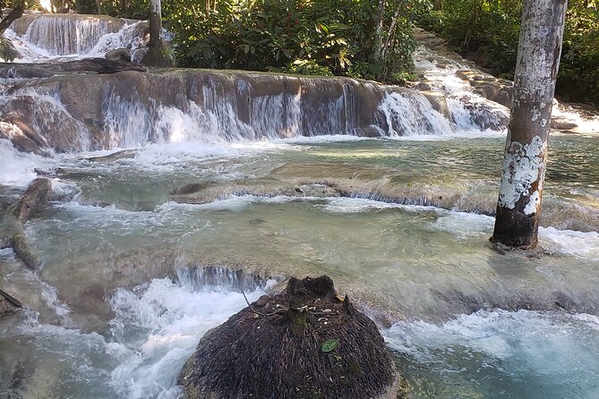 Dunns River Falls Experience from Montego Bay Resorts - The Sum Up