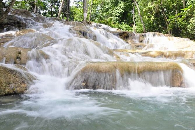 Private Roundtrip Transfer from Montego Bay to Dunn's River Falls - Exploring the Details of the Transfer Experience