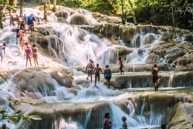 Private Roundtrip Transfer from Montego Bay to Dunn's River Falls - Private Roundtrip Transfer from Montego Bay to Dunns River Falls — An Honest Look