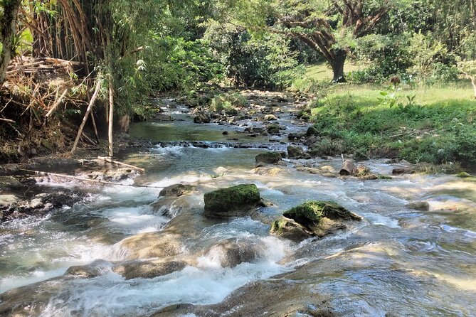 Private Tour Through Jamaican Countryside to Benta River Falls - Final Thoughts: Is This Tour for You?