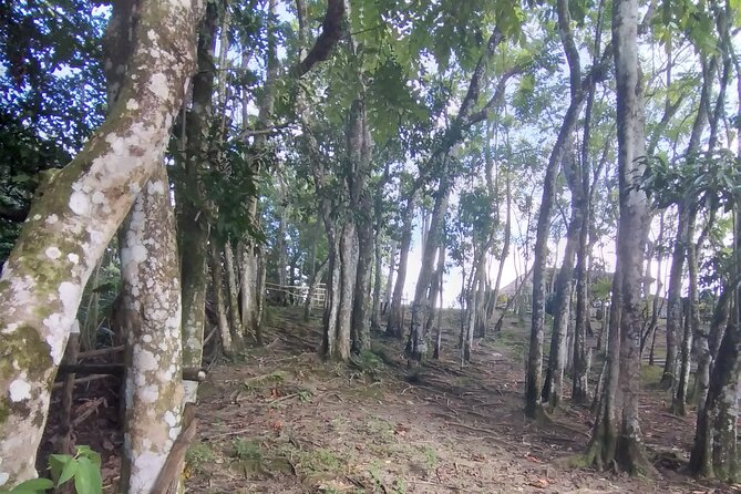 Private Tour Through Jamaican Countryside to Benta River Falls - FAQ