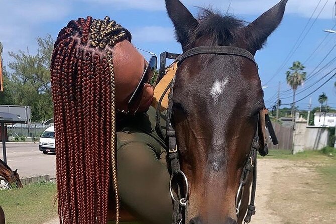 Dunns River Falls,Zip lining & horseback riding Combo tour from Montego Bay - The Sum Up