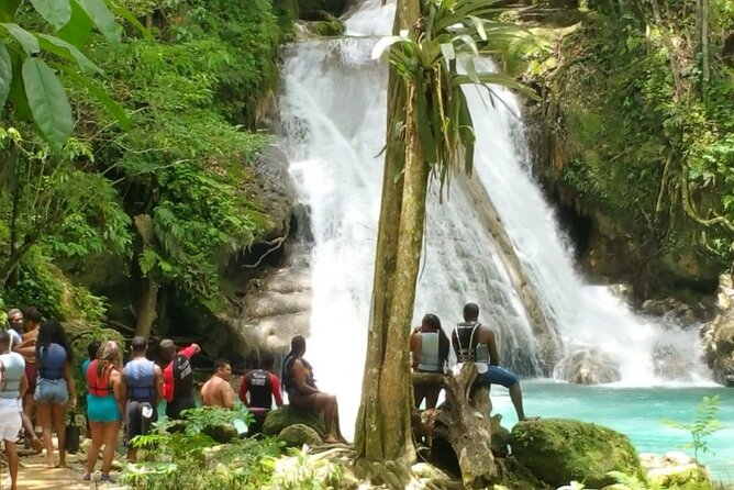 Blue Hole/Secert falls and Dunns River Combo Tour - The Sum Up