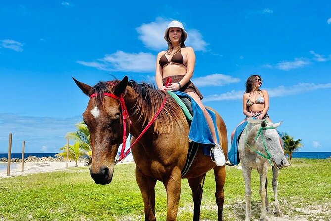 Horseback Ride and Swim Jamaica - Key Points