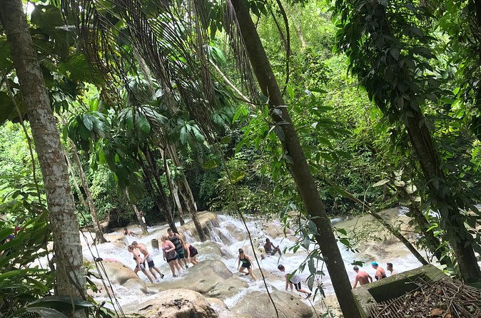 Montego Bay To Dunn's River Transport - Analyzing the Value