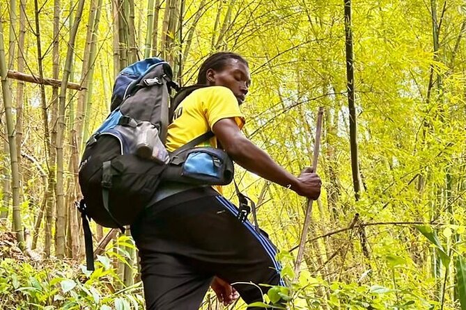 4-Hours Bike, Hike & Waterfall Tour in Blue Mountain with Lunch and Pick Up - Who Will Love This Tour?