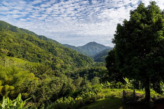 4-Hours Bike, Hike & Waterfall Tour in Blue Mountain with Lunch and Pick Up - Frequently Asked Questions