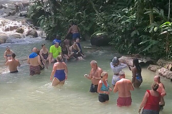 Full-Day Guided Tour to Dunns River Falls & shopping with lunch - What Sets This Tour Apart