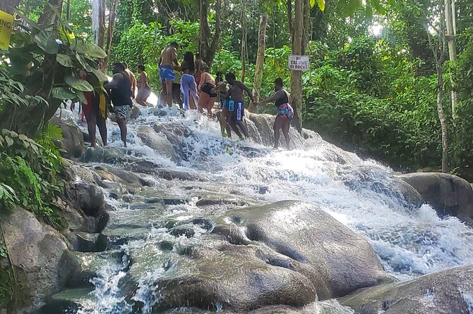 Full-Day Guided Tour to Dunns River Falls & shopping with lunch - Final Thoughts