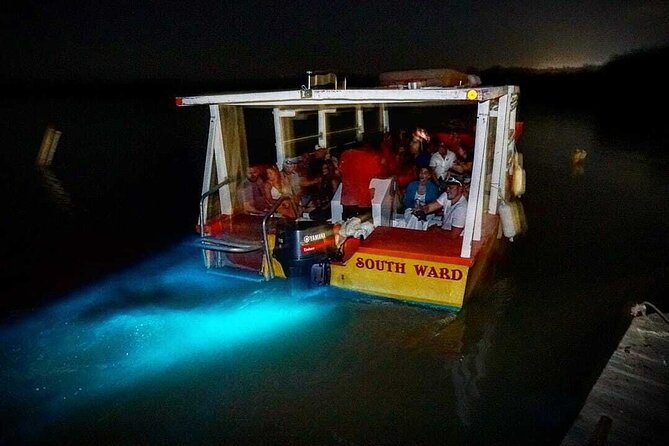 Luminous Lagoon Glow in the Dark Boat Tour from Montego Bay - A Complete Look at the Luminous Lagoon Boat Tour