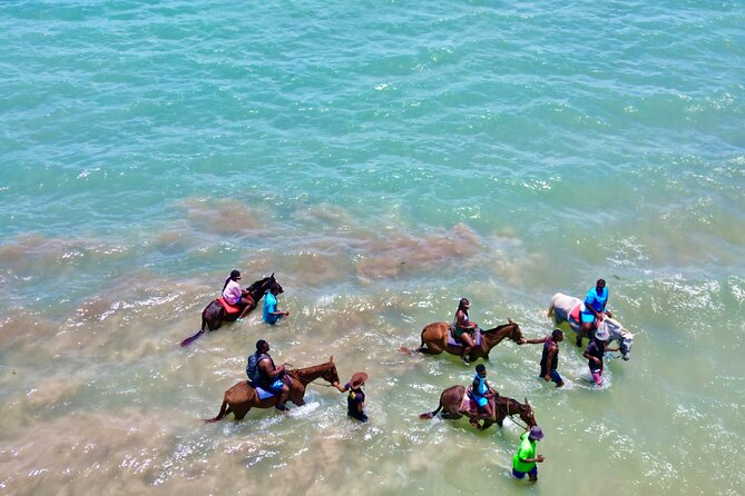 Horseback Riding Experience - FAQ