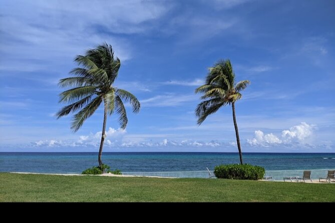 Sangster International Airport Private Transfer to Montego Bay - Who Should Book This Transfer?