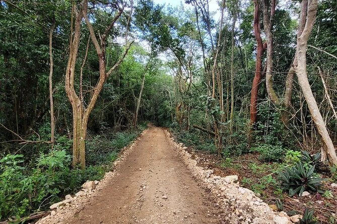 Horseback Riding, ATV & More in the Mountains of Montego Bay - The Itinerary in Detail: What You Can Expect