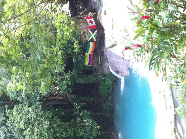 Dunn's River Falls and Jamaica Sightseeing Private Tour - Practical Tips for Booking and Enjoying