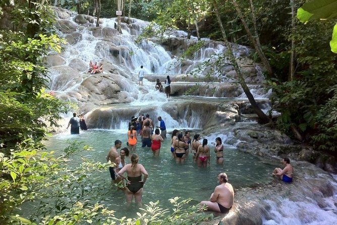 Dunn's River Falls and Jamaica Sightseeing Private Tour - Key Points