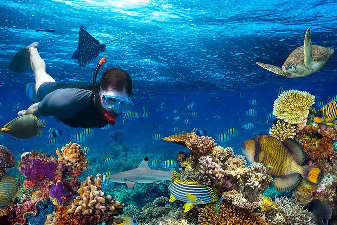 Snorkeling activity with Boat ride from Montego Bay - The Sum Up