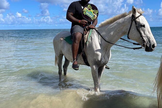 ATVS and Quad Biking Horseback Riding and Ricks Cafe - FAQs