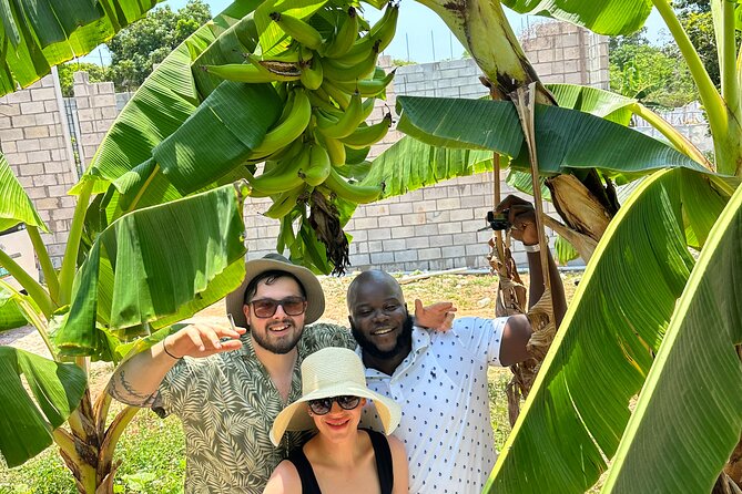 Montego Bay Sightseeing, Shopping and Bamboo Rafting - An In-Depth Look at the Tour