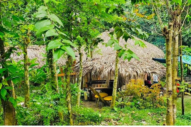 Bamboo Rafting & Jerk Picnic by the Waterfalls - The Value of This Tour