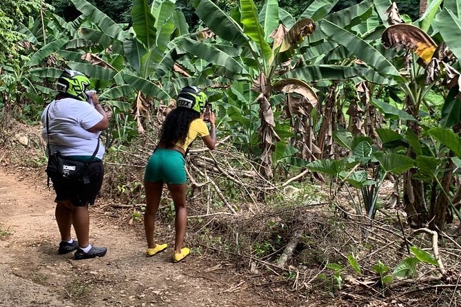 Half Day Group Tour in Montego Bay - FAQs