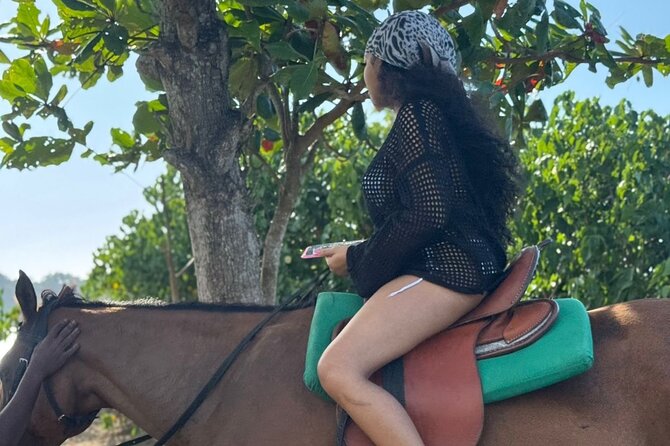 Sunset Horseback Riding and Swim Tour - A Deep Dive into the Sunset Horseback Riding and Swim Tour