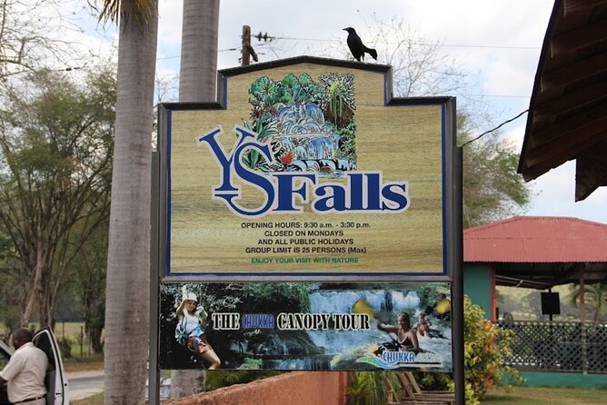 Private YS Falls & Appleton Estate Rum tour from Montego Bay - FAQs