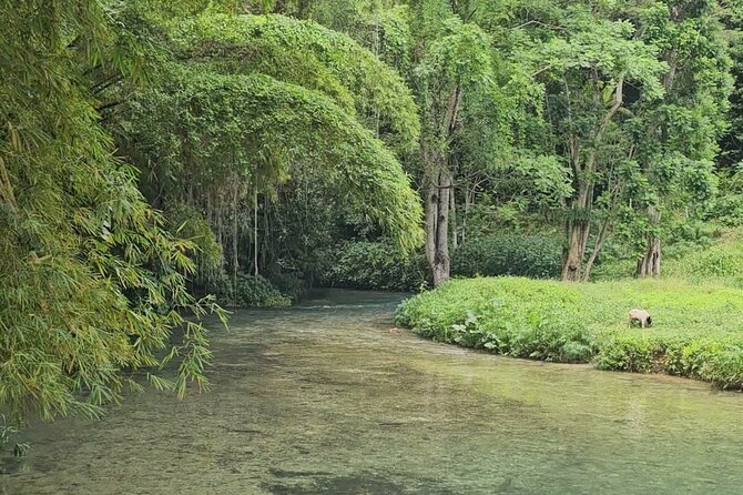 Bluehole secret falls & ATV Experience tour from Montego Bay - Who Is This Tour Best For?